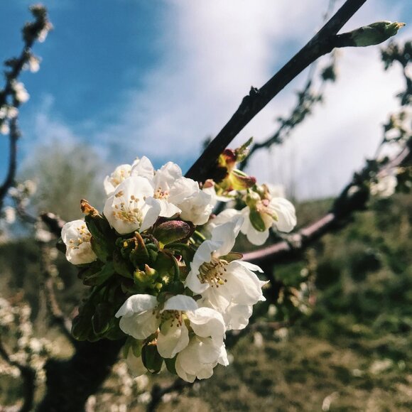 Meet your Posher, Alejandra lizarraga - Picture 1 of 1